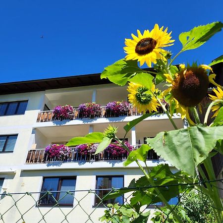Gaestehaus Herma รัมเซา อัม ดาคชไตน์ ภายนอก รูปภาพ