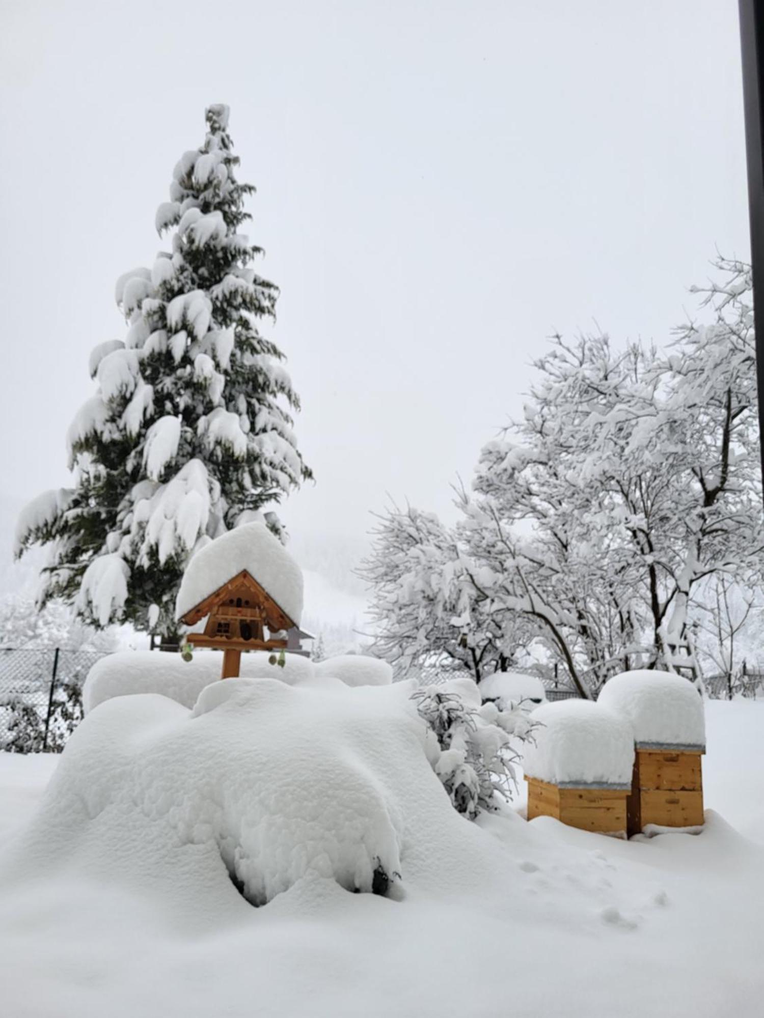 Gaestehaus Herma รัมเซา อัม ดาคชไตน์ ภายนอก รูปภาพ